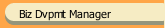 Biz Dvpmt Manager