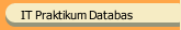 IT Praktikum Databas